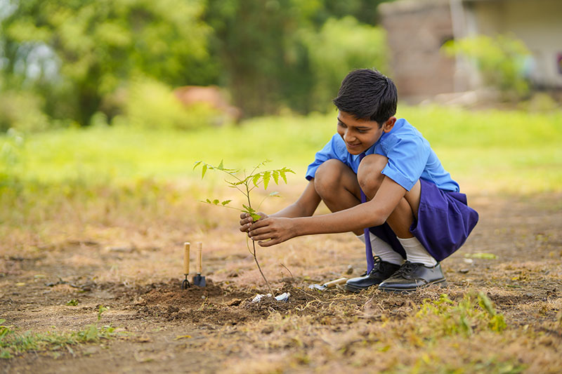 Environmental Sustainability